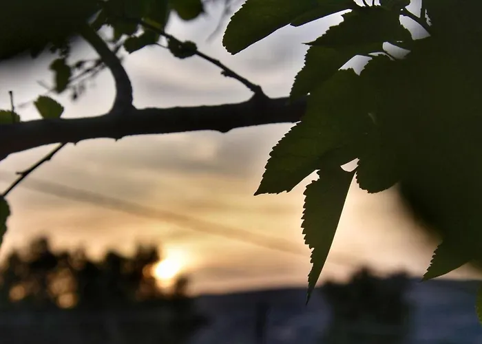 Apart Otel Anemomylos Lixouri