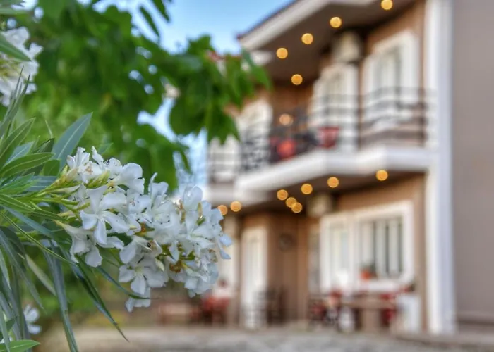 Apart Otel Anemomylos Lixouri