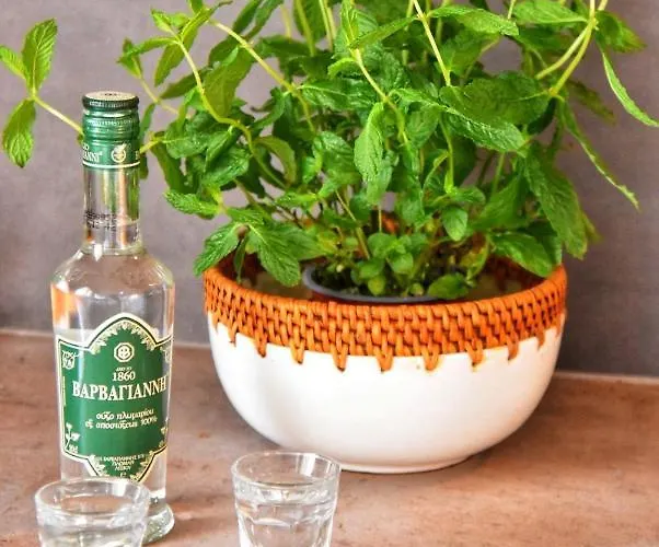 Anemomylos Apart Otel Lixouri