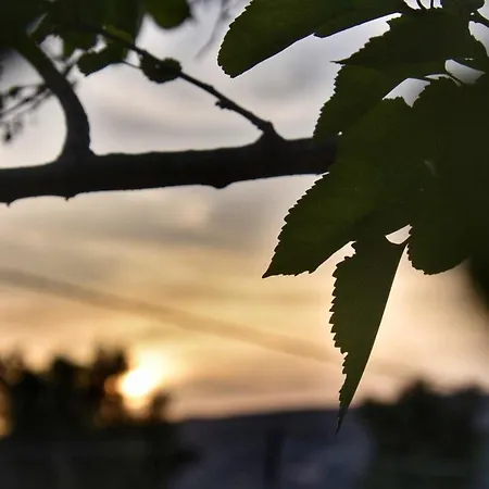 Aparthotel Anemomylos Lixouri