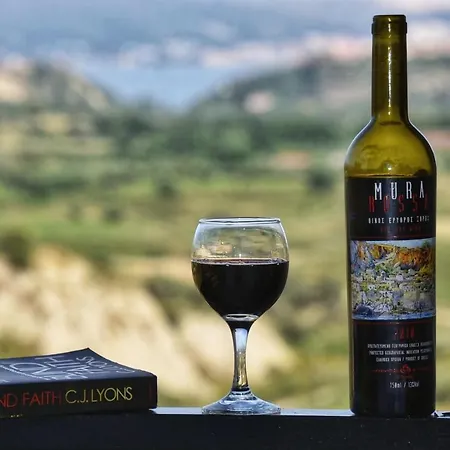 Ξενοδοχείο με διαμερίσματα Anemomylos *