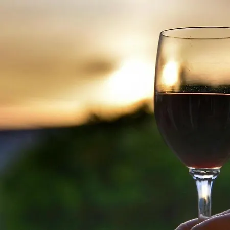 Aparthotel Anemomylos