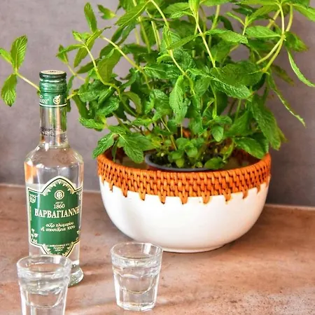 Anemomylos Aparthotel Lixouri