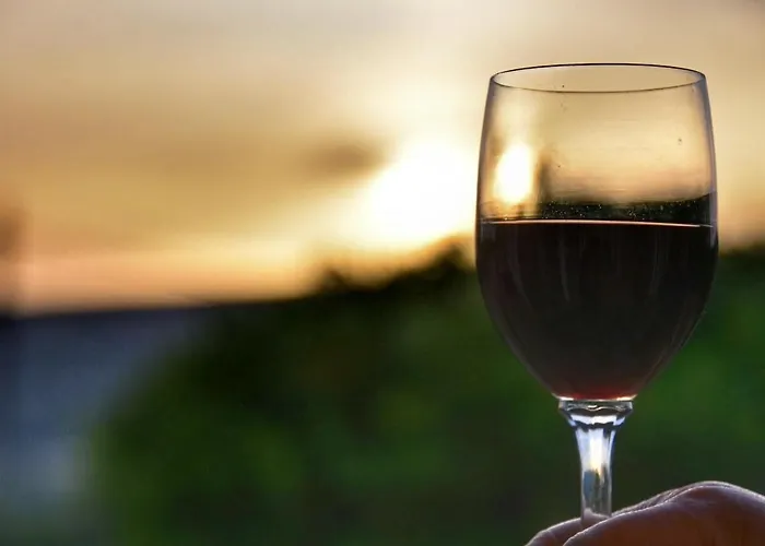 아파트호텔 Anemomylos