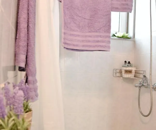 아파트호텔 Anemomylos 3*